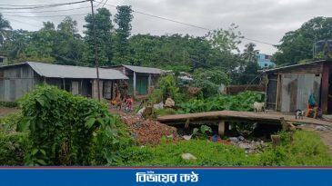 ওসমানীনগরে দখলবাজদের আগ্রাসনে প্রমত্তা বুড়ি নদী